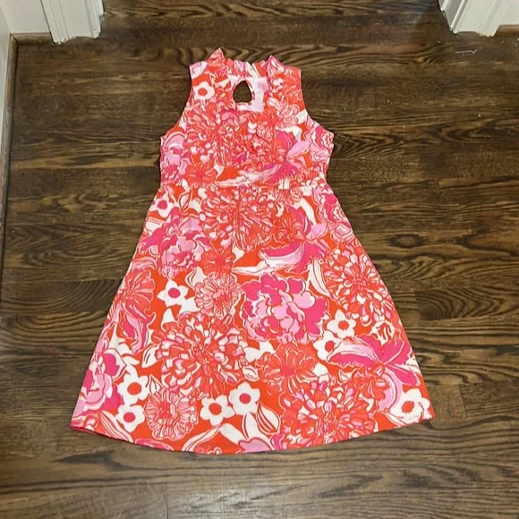Lily Pulitzer Beautiful Floral Dress - Picture 7 of 10
